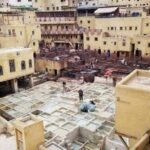 Day visit guided in fez - What to Expect from the Fez Guided Tour