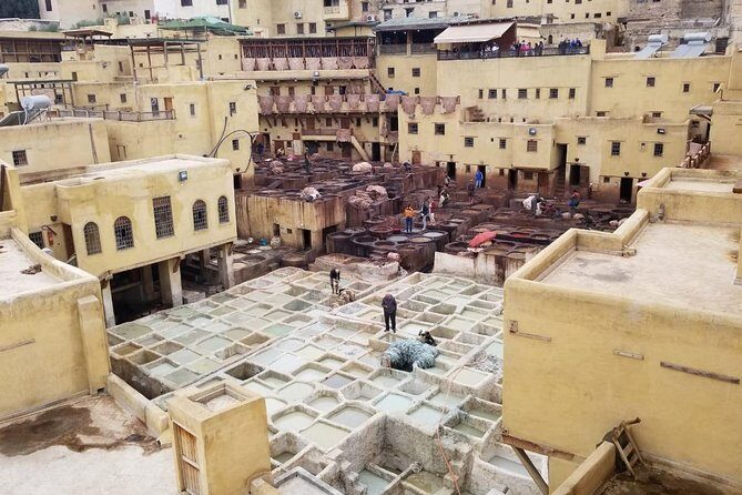 Day visit guided in fez - What to Expect from the Fez Guided Tour