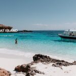Daymaniyat island Natural Reserve and Dolphin Watching - Key Points
