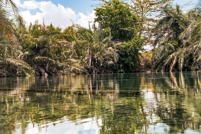 DayTour to Materuni Waterfalls with Coffee & Hotsprings Excursion - The Itinerary in Detail: What to Expect