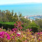 Daytrip Carthage Sidi Bousaid Bardo and Tunis Medina - Museum of Carthage: Unearthing Ancient Civilizations