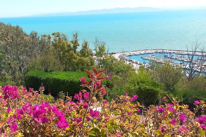 Daytrip Carthage Sidi Bousaid Bardo and Tunis Medina - Museum of Carthage: Unearthing Ancient Civilizations