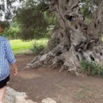 Daytrip to Kerkouen Unesco Site Kelibia and Houaria Caves - Discovering the Historic and Natural Sides of Cape Bon