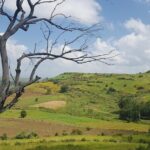 Debre Libanos Monastery and Jemma River Gorge - Day Tour from Addis Ababa - What Reviewers Say
