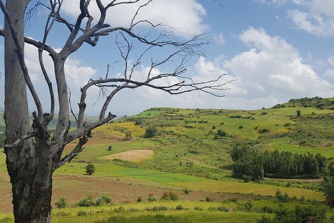 Debre Libanos Monastery and Jemma River Gorge - Day Tour from Addis Ababa - What Reviewers Say