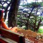 Deir Al-Qamar, Beiteddine Palace and Barouk Cedars Tour - The Sum Up