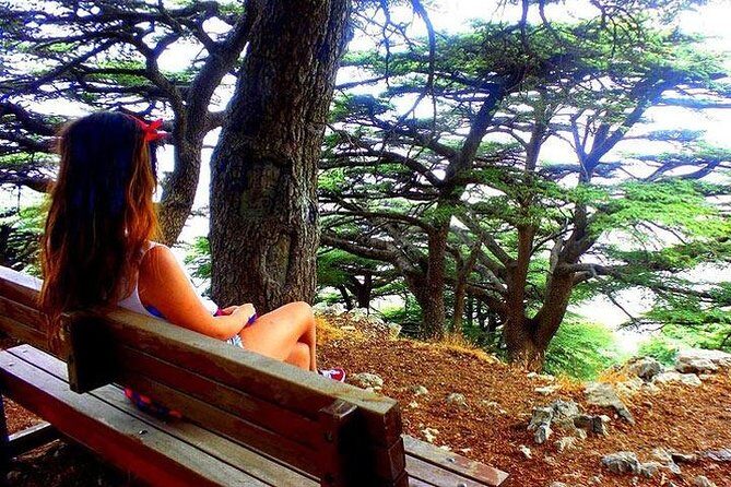 Deir Al-Qamar, Beiteddine Palace and Barouk Cedars Tour - The Sum Up