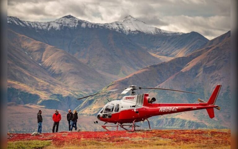 Denali National Park: Helicopter and Hike Adventure - Planning Your Day