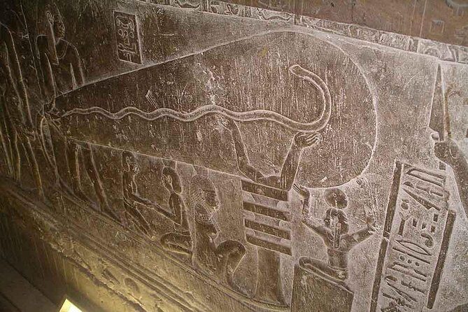 Dendera Temple Half Day Private Tour from Luxor - Who Should Consider This Tour?