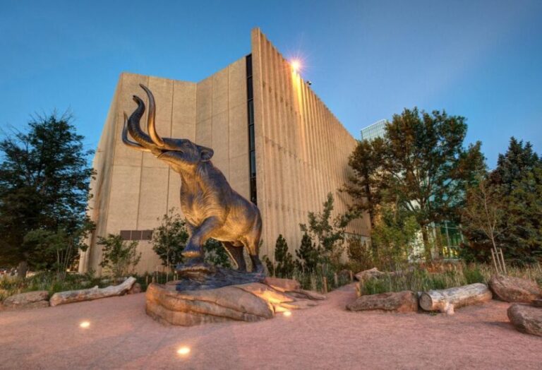 Denver: Museum of Nature and Science Entry Ticket - A Closer Look at What the Museum Offers
