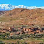 Desert Agafay and Atlas Mountains Day Trip From Marrakech & Camel Ride - The Experience of the Guide and Transport