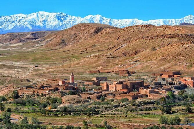 Desert Agafay and Atlas Mountains Day Trip From Marrakech & Camel Ride - The Experience of the Guide and Transport