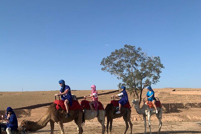 Desert Agafay & Atlas Mountain Day Trip With Camel Ride - What Travelers Say About the Tour
