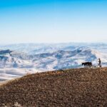 Desert Agafay & Atlas Mountains, Valleys & Waterfalls Tour from Marrakech - What Makes This Tour Stand Out?