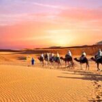 Desert Agafay & Atlas Mountains & Waterfalls, Camel ride Day Trip From Marrakech - Transportation, Timing, and Group Dynamics
