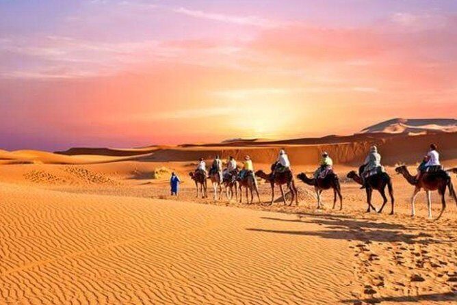Desert Agafay & Atlas Mountains & Waterfalls, Camel ride Day Trip From Marrakech - Transportation, Timing, and Group Dynamics