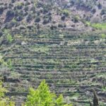 Desert and High Atlas Adventure From Marrakech - FAQ