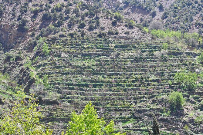 Desert and High Atlas Adventure From Marrakech - FAQ