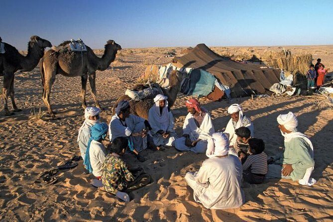 Desert Camping With The Bedouins Under The Stars - White & Black Deserts - Who Should Consider This Tour?