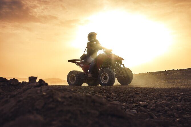 Desert D'Agafay Package - Quad, Dromedary and Dinner Show - What the Reviews Tell Us