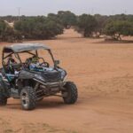 Desert Dunes Buggy Safari in Agadir with Hotel Pickup - Who Will Love This Tour?
