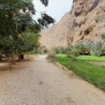 Desert Guided Overnight Camp Tour - Day 1: From Mountainous Roads to Desert Dunes