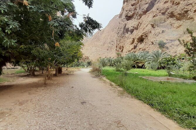Desert Guided Overnight Camp Tour - Day 1: From Mountainous Roads to Desert Dunes
