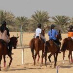 Desert Horse Riding- 1 Hour - What Reviewers Say About the Tour