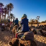 Desert Odyssey: 2 Days _ Marrakech to Merzouga Expedition - Frequently Asked Questions