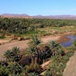 Desert Odyssey: A 2-Day Journey from Marrakech to Zagora - What to Expect During Your Trip