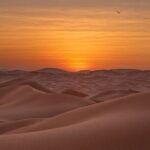 Desert Overnight in Private Bedouin Tent - Practical Details: Transportation, Timing, and Value