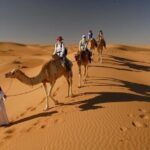 Desert Safari 4x4 Dunes, Camel Riding, BBQ & Live Shows - What Reviewers Loved Most