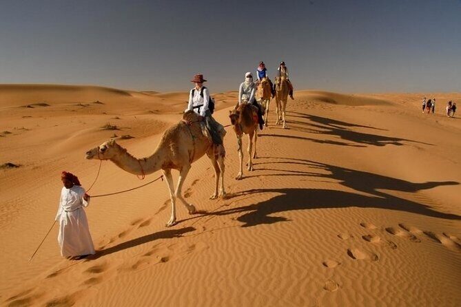 Desert Safari 4x4 Dunes, Camel Riding, BBQ & Live Shows - What Reviewers Loved Most