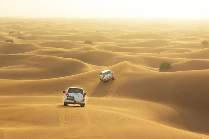 Desert Safari Adventure Hotel Transfer Camel Ride with Quadbike - Key Points