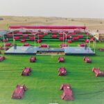 Desert Safari Adventure in Dubai - Transport and Duration: Why They Matter