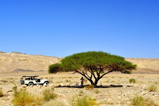 Desert Safari and Dead Sea Day Trip from Tel Aviv - Authentic Experiences & Honest Feedback