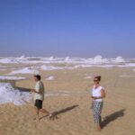 Desert Safari - Baharia Oasis, White desert, and Black desert Tour - What’s Included & What to Consider