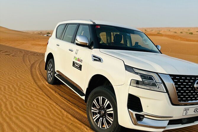 Desert Safari BBQ dinner, Camel ride & sandboarding from Dubai - The Sum Up: Who Should Consider This Tour?