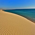 Desert Safari, Camel ride and Inland Sea Tour - What’s Included and What’s Not