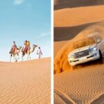 Desert Safari Combo: Camel Ride, Sandboarding & Inland Sea Visit - Things to Consider