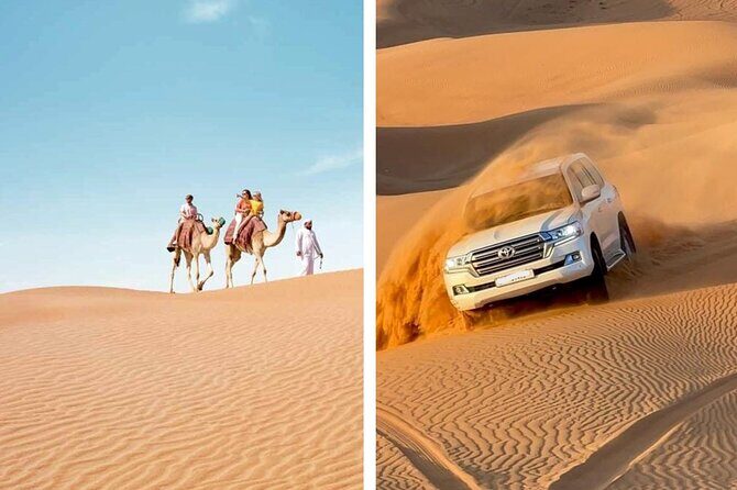 Desert Safari Combo: Camel Ride, Sandboarding & Inland Sea Visit - Things to Consider