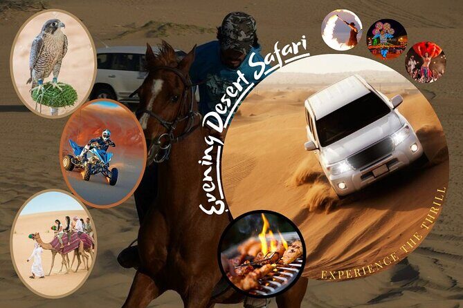 Desert Safari Dubai - Why This Tour Is a Great Value