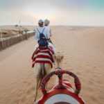 Desert Safari Dubai Adventure With BBQ & Live Shows - Additional Details and Practical Tips