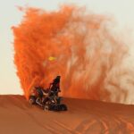 Desert Safari Dubai BBQ Dinner & Live Shows - What Travelers Are Saying
