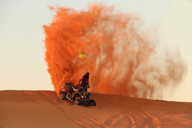 Desert Safari Dubai BBQ Dinner & Live Shows - What Travelers Are Saying