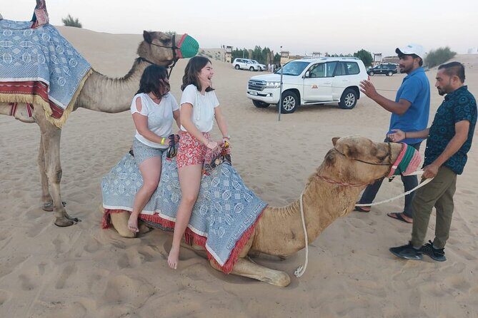 Desert Safari Dubai Live Shows Camel Ride Dinner with Quad Bikes - Real Reviews: Authentic Insights from Travelers