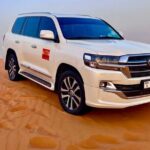 Desert Safari Dubai Red Dunes Safari With Live BBQ Buffet Dinner - Who Will Love This Tour?