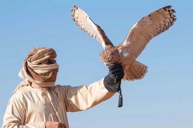 Desert Safari Dubai Sand Bashing, Camel Ride, Shows, Live BBQ - What Sets This Tour Apart?