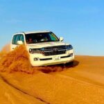 Desert Safari Dubai with BBQ Dinner & Camel Ride - The Itinerary in Detail