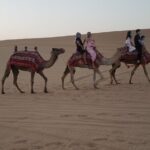 Desert Safari Dubai with Buffet Dinner & 3 live shows - Practical Details and Tips